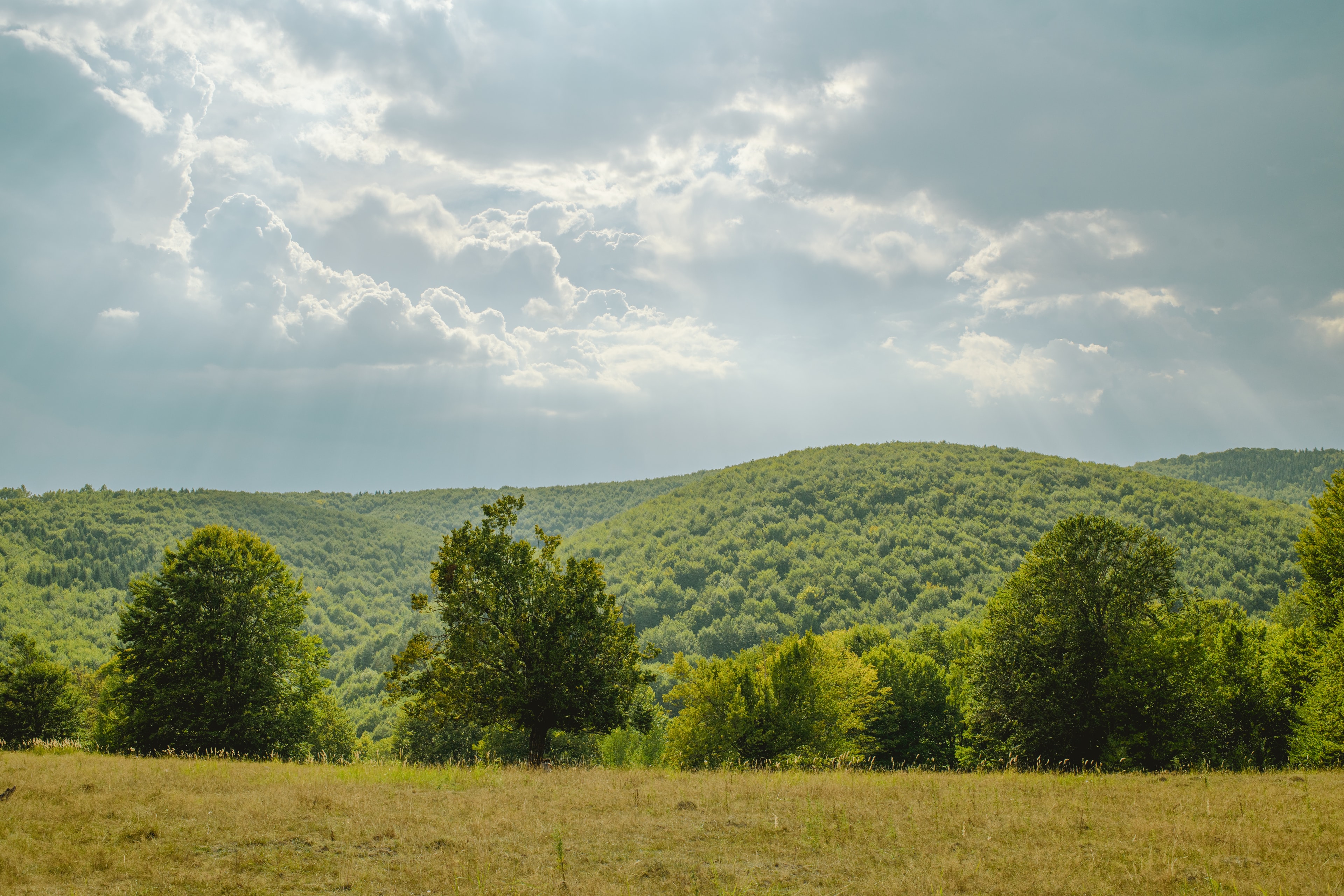 Waha Festival's 10th edition in Transylvania